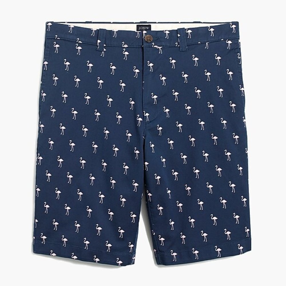 JCrew Mens Flamingo Shorts